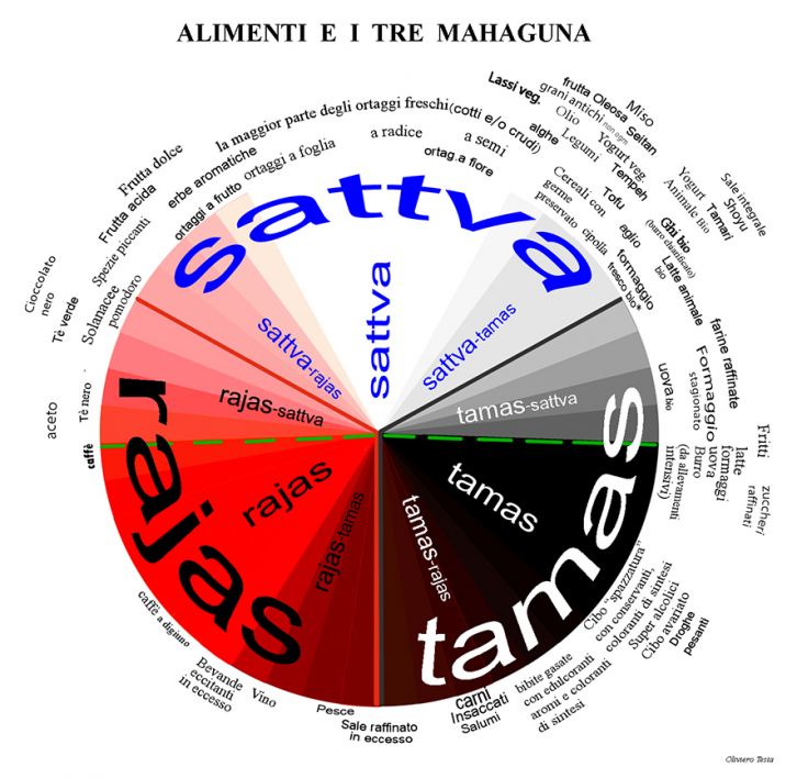 MahagunTrattegAlimentidefinit.jpg